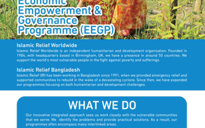 Economic Empowerment & Governance Programme (EEGP) Brochure