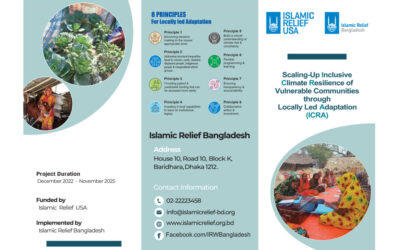 Brochure ICRA Projrect