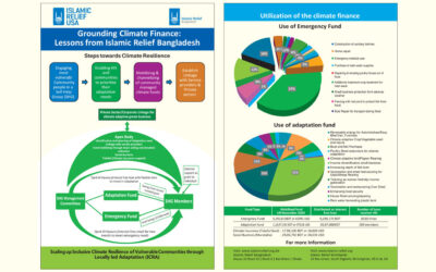Climate Finance Model